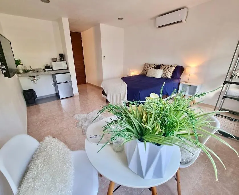 Apartment Ferienwohnung Departamento Centrico 5T Playa Ac Playa del Carmen